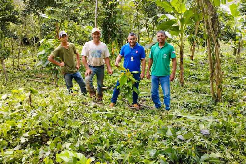 Equipe da Emater e agricultores atuam em conjunto para recuperar áreas degradadas em propriedades rurais de São Félix 
