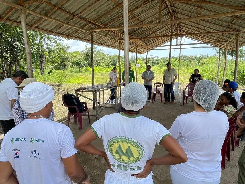 O CAF Jurídico assegurado pela Emater beneficiou três cooperativas do setor da agricultura familiar do Marajó