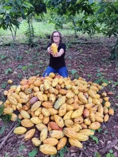 Jiovana Lunelli e o cacau orgânico que produz com apoio técnico da Emater em Brasil Novo
